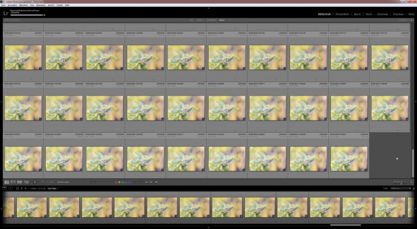 Bildbearbeitung in Adobe Photoshop Lightroom