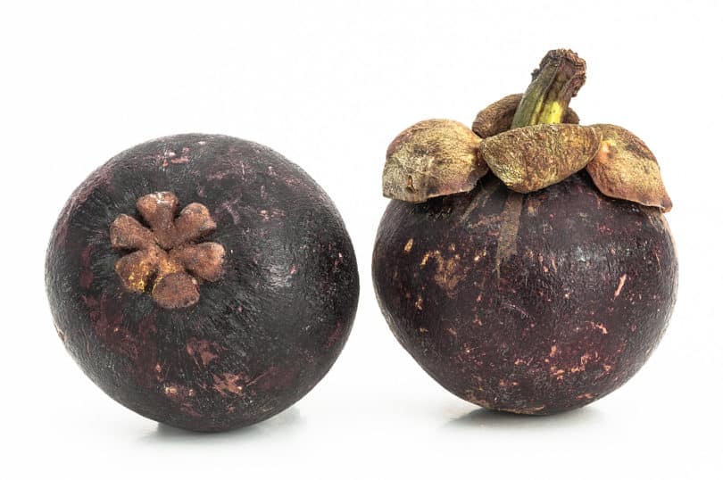 Garcinia mangostana - Mangostane