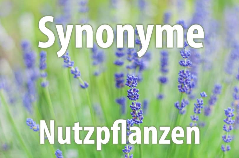 Synonyme von Nutzpflanzen